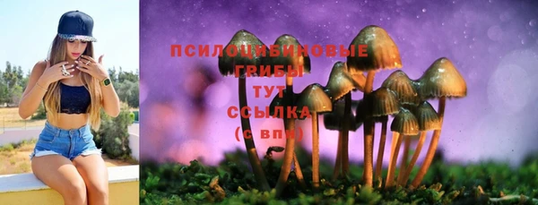 Альфа ПВП Аркадак